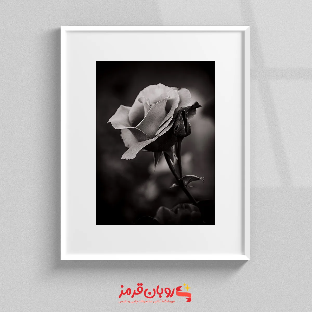تابلو سیاه و سفید گل رز 462