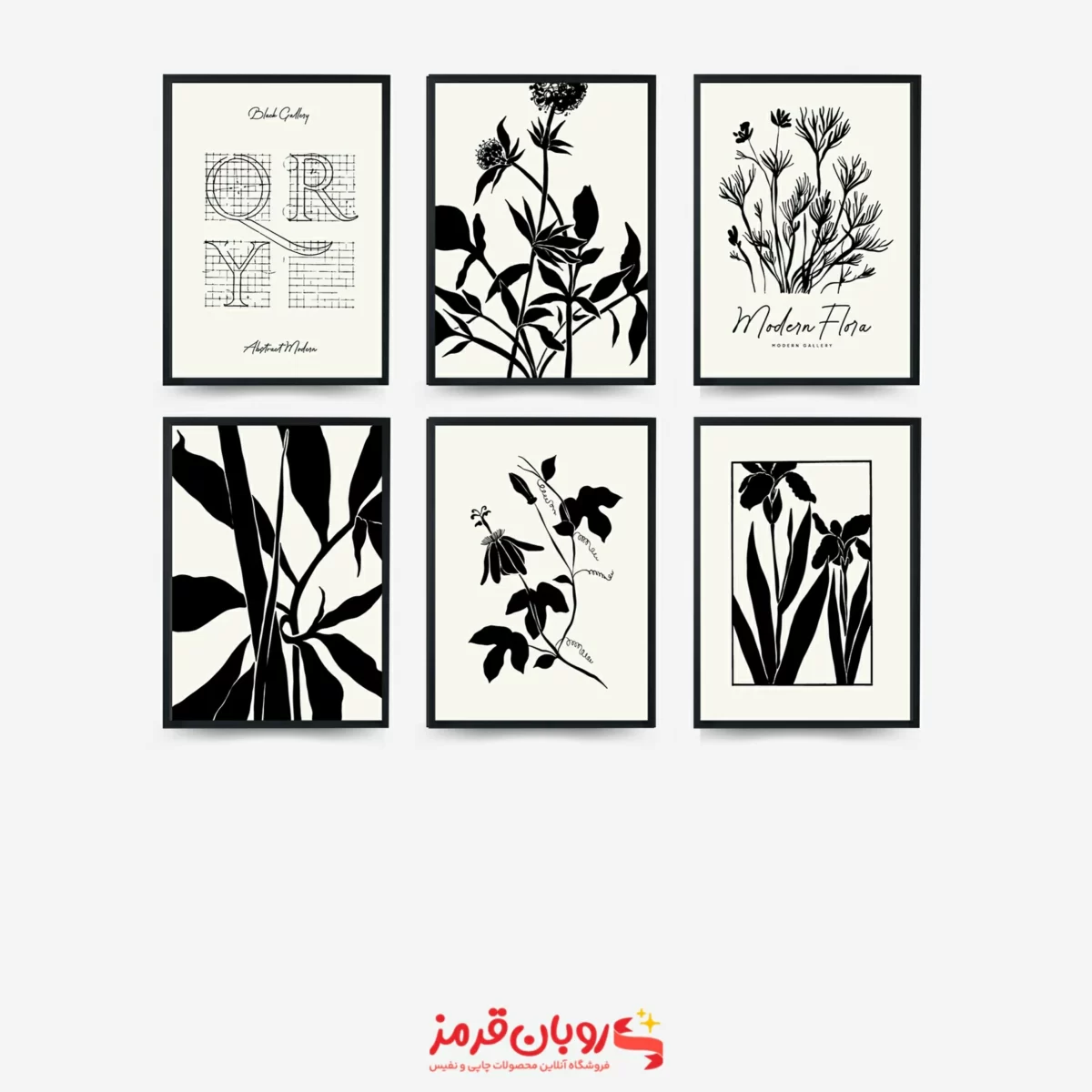 تابلو دکوراتیو سیاه و سفید مجموعه 6 عددی طرح گل 1339